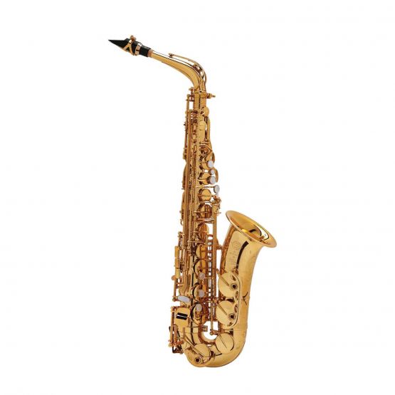 Selmer SA80 Series II Jubilee Alto Sax image
