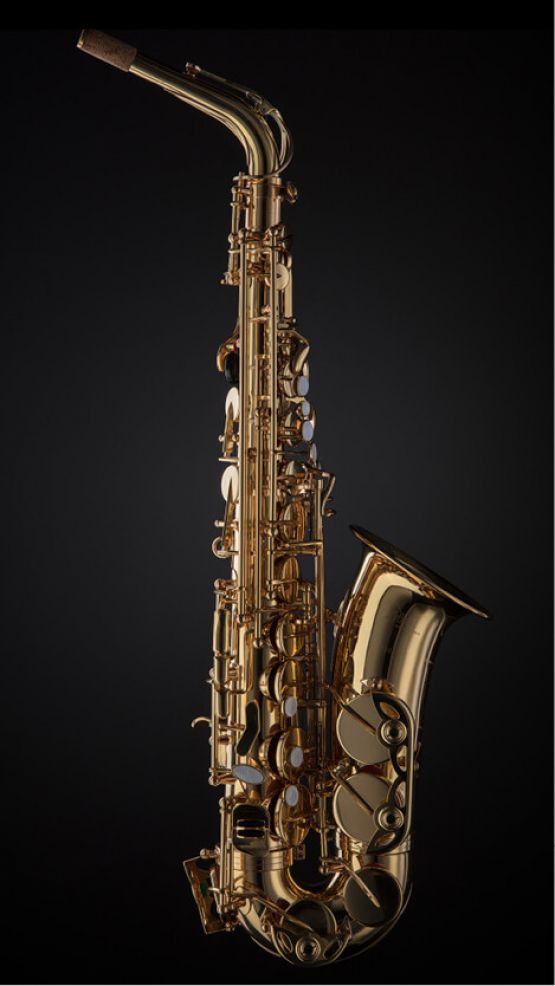 Zetland Alto Sax image