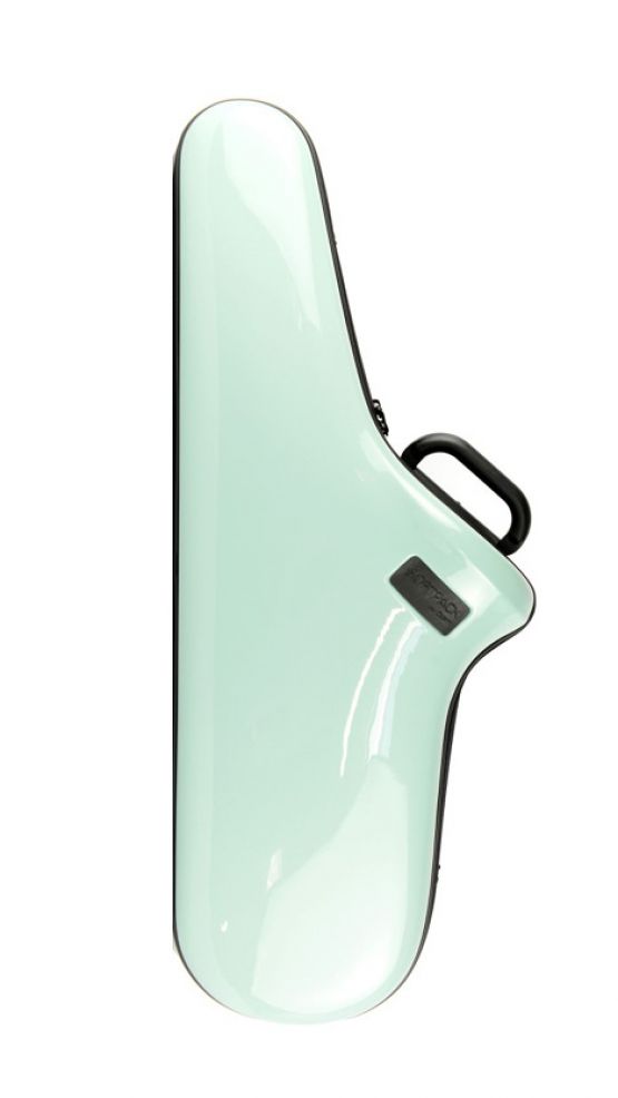 BAM Tenor Softpack Case Mint image