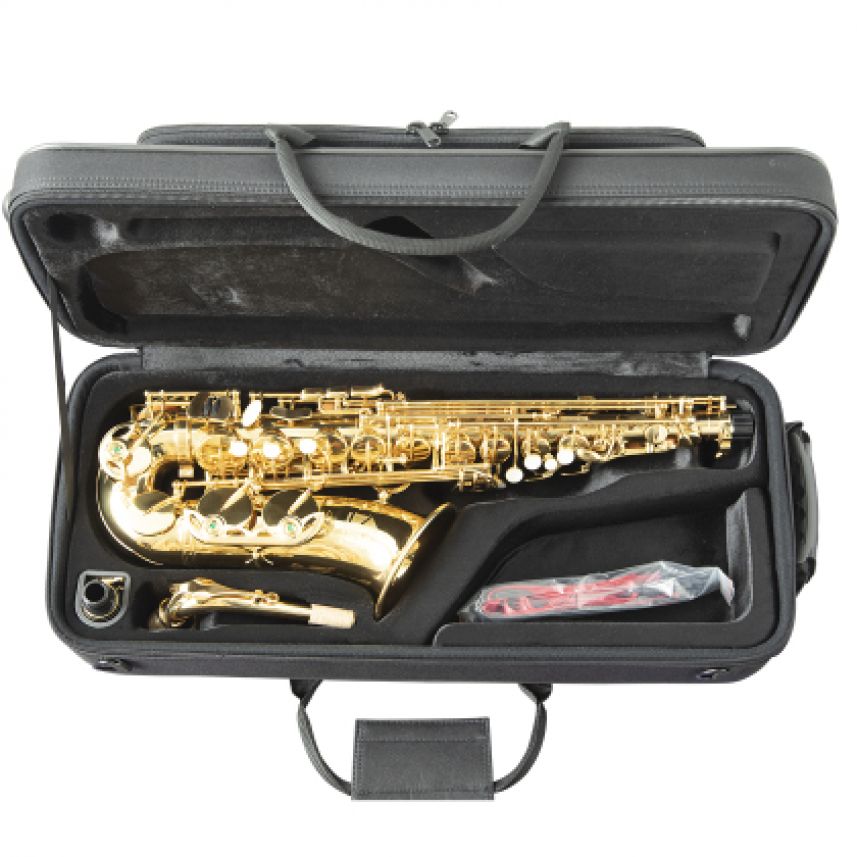 Trevor James The Horn Alto Saxophone