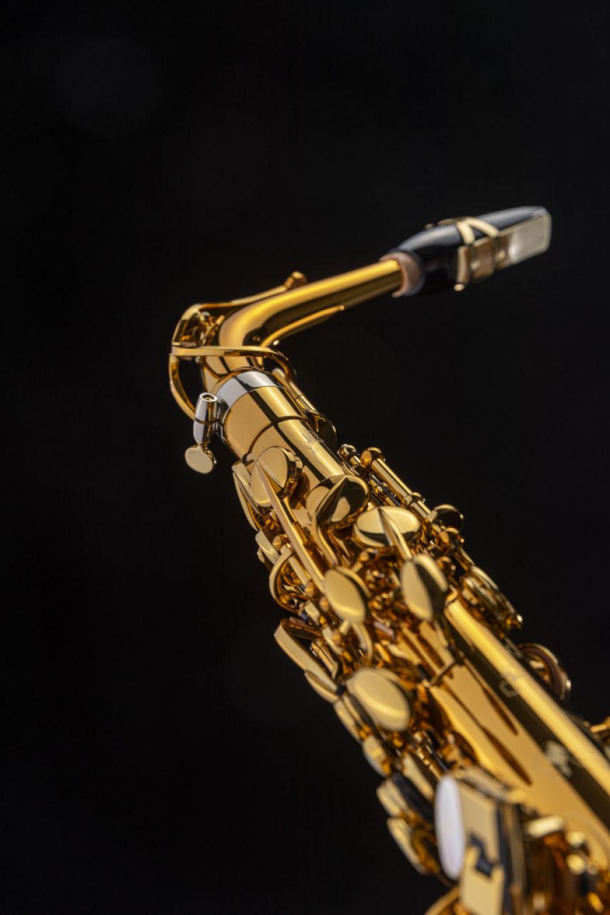 Selmer Supreme Alto Sax - Dark Gold Lacquer