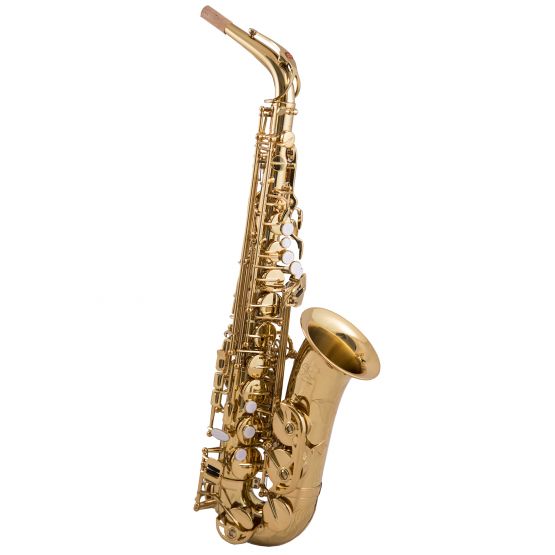 Trevor James EVO Alto Saxophone image