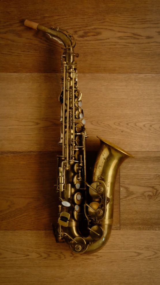 (Used) Borgani Jubilee Unlacquered Alto Sax