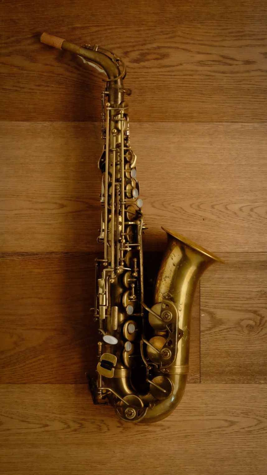 (Used) Borgani Jubilee Unlacquered Alto Sax