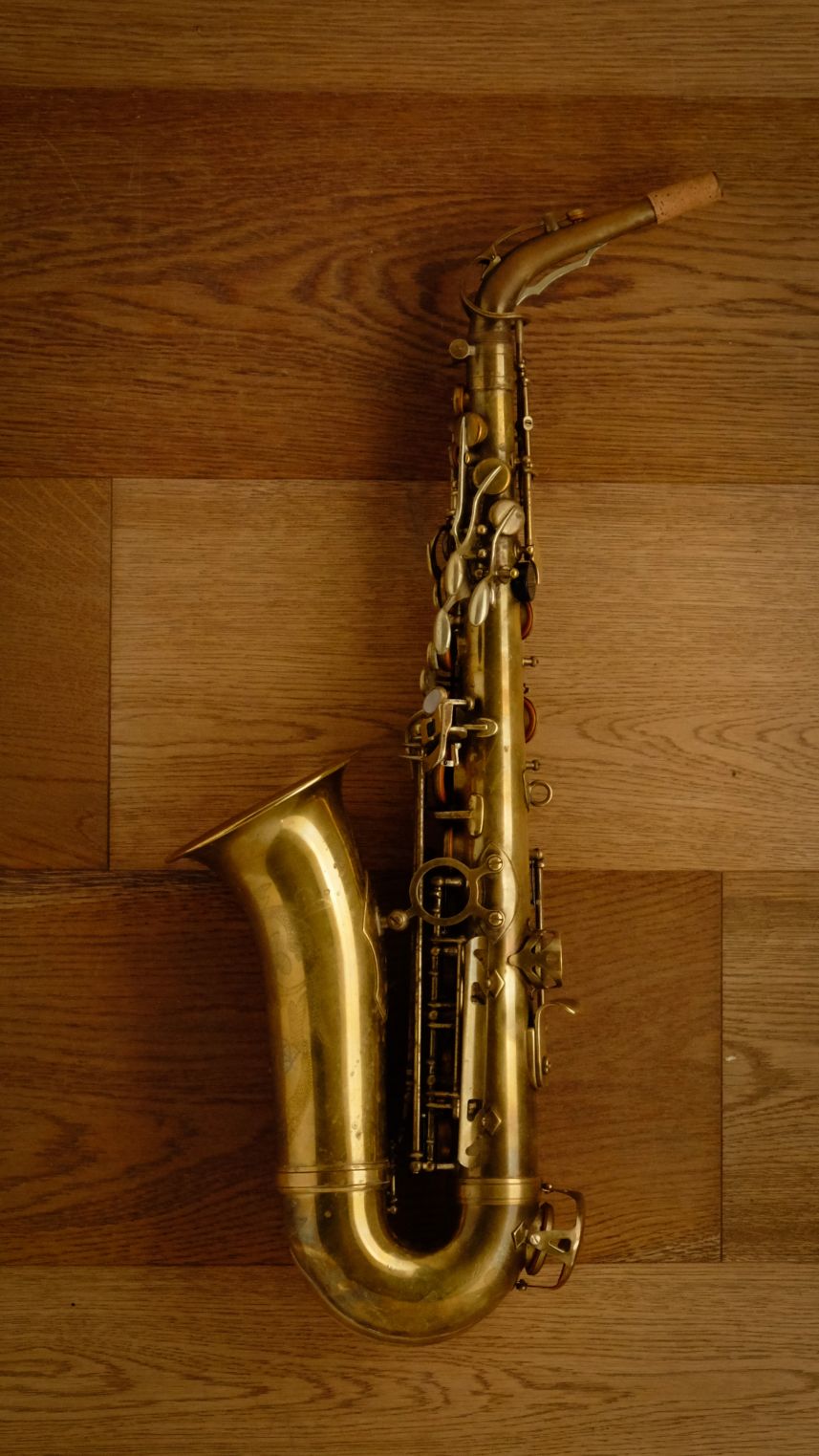 (Used) Borgani Jubilee Unlacquered Alto Sax