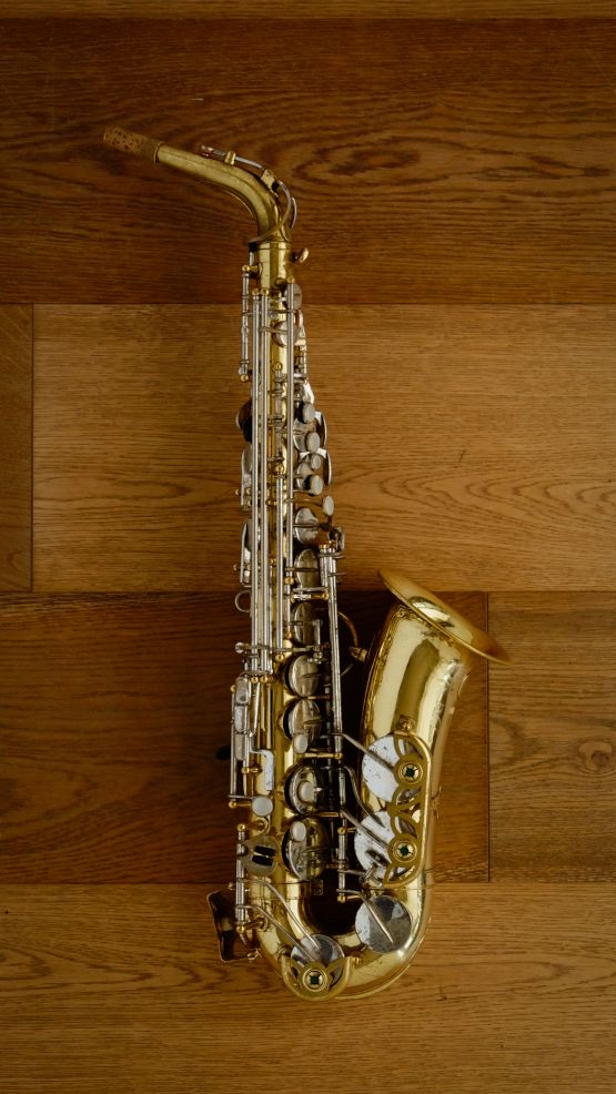 (Used) Yanagisawa 800 'Elimona' Alto Sax image