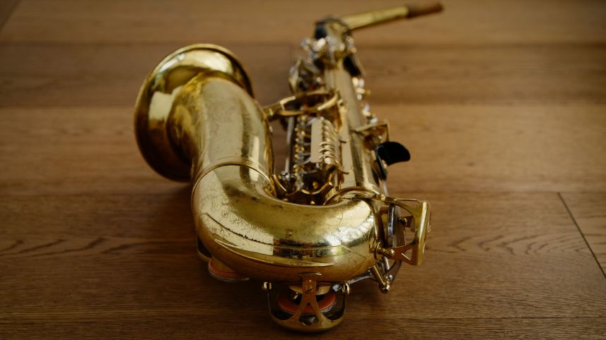 (Used) Yanagisawa 800 'Elimona' Alto Sax