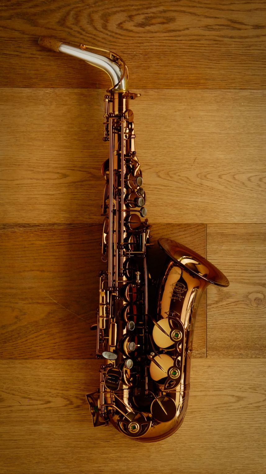(Used) System 54 'Silver Neck-R' Alto Sax