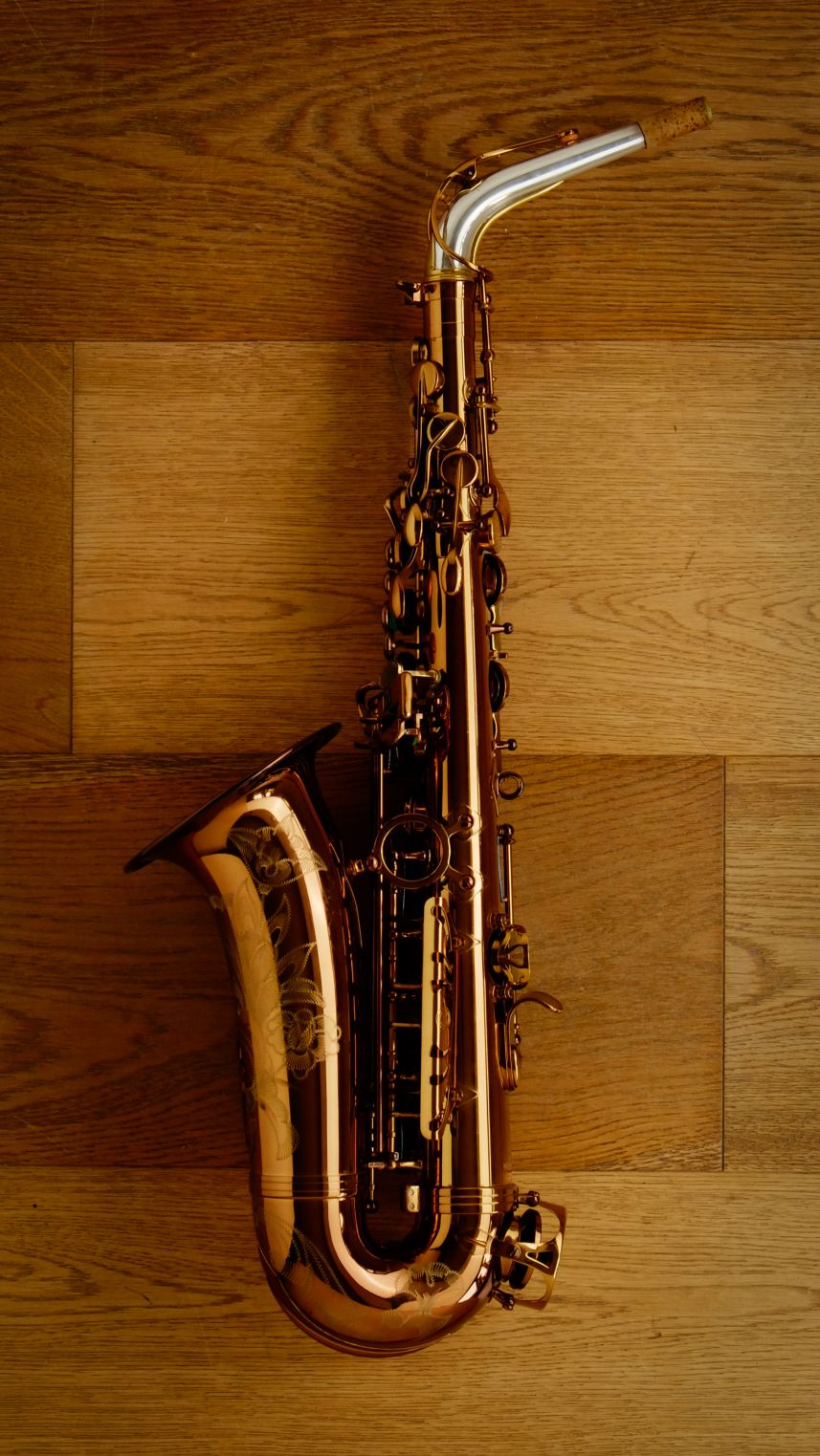 (Used) System 54 'Silver Neck-R' Alto Sax