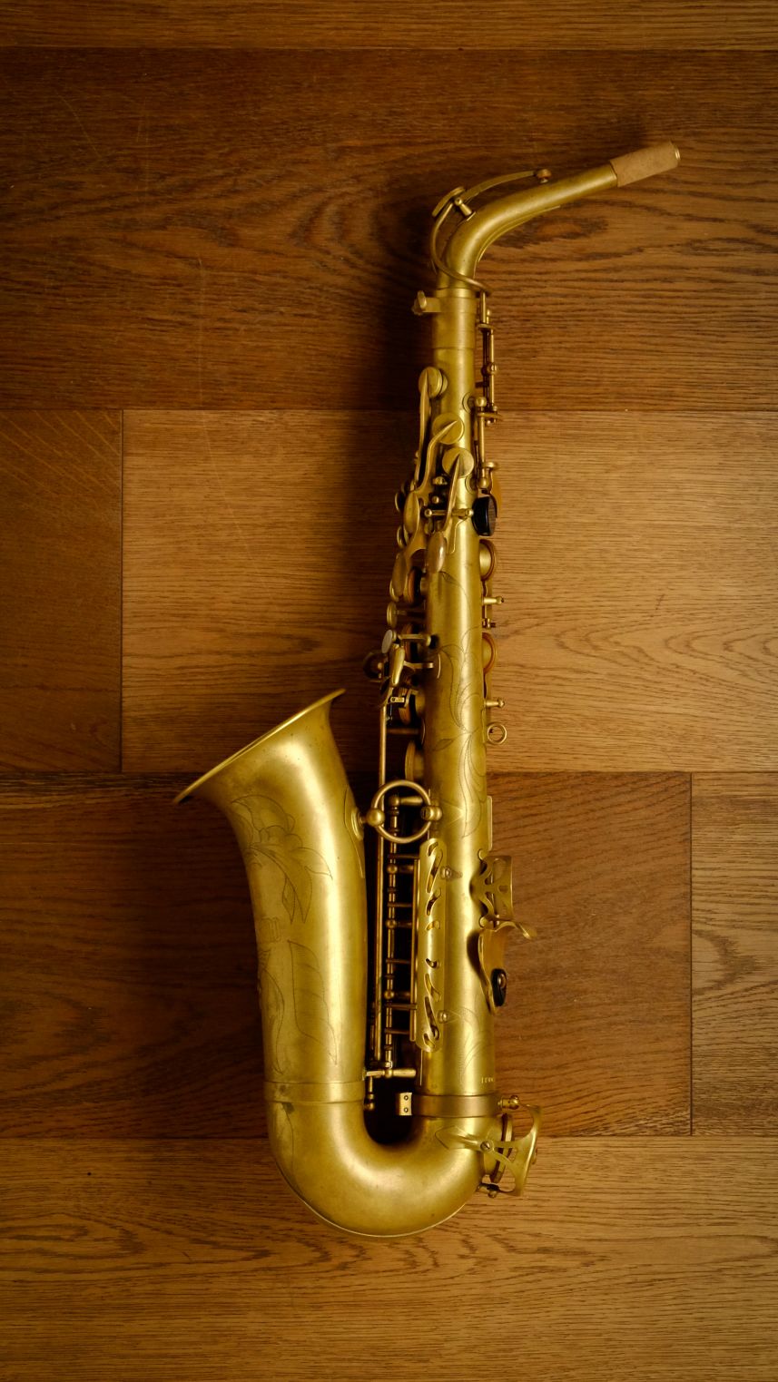 (Used) Lupifaro Platinum Alto Sax