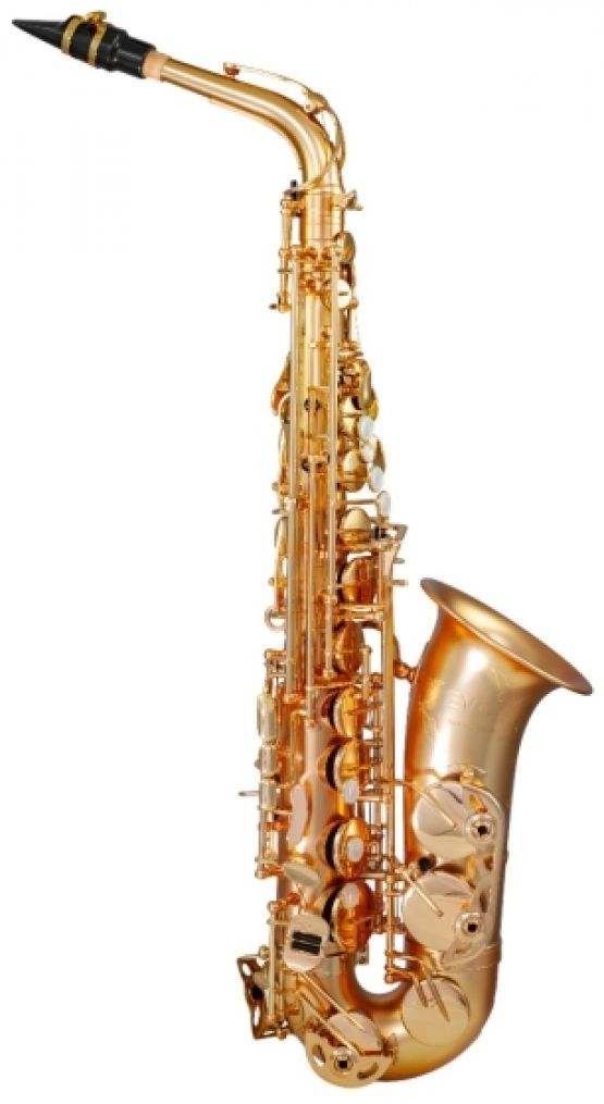 Trevor James EVO Alto Saxophone Gold Frost image