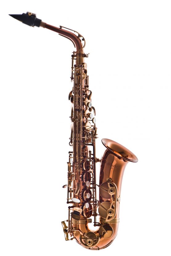 Leblanc LAS711DL Premiere Alto Saxophone - Dark Lacquer image