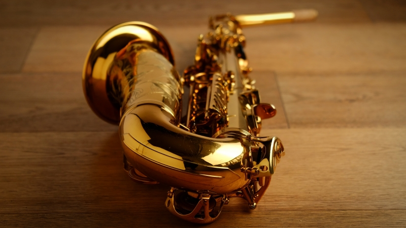 (Used) Selmer Reference 54 'Hummingbird' Alto Sax